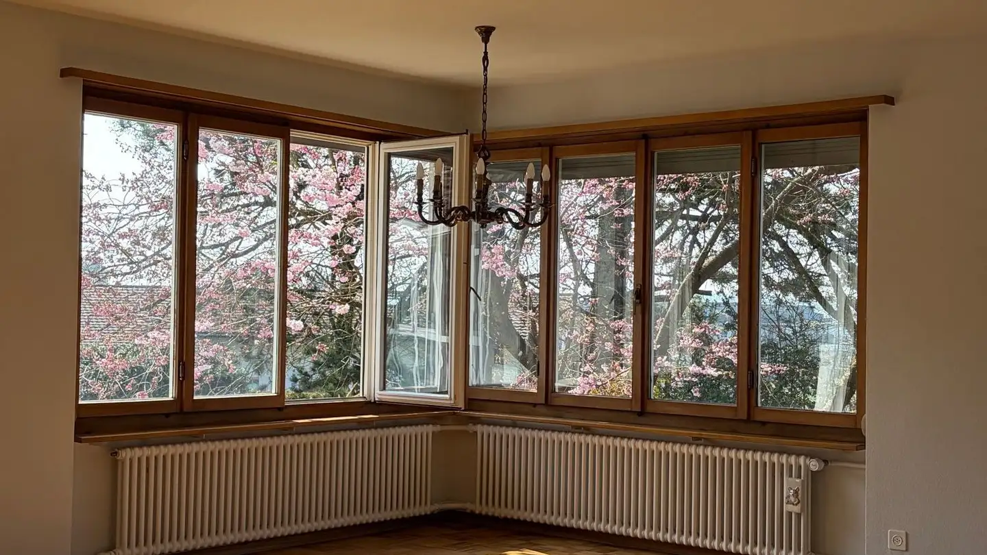 Semi-detached house for rent - Angelstrasse 10, 8330 Pfäffikon ZH - Photo 2