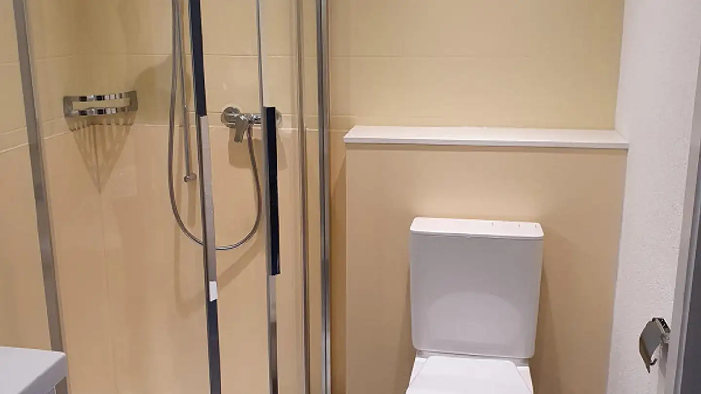 Attique à louer - Weinfelderstrasse 4, 8580 Amriswil