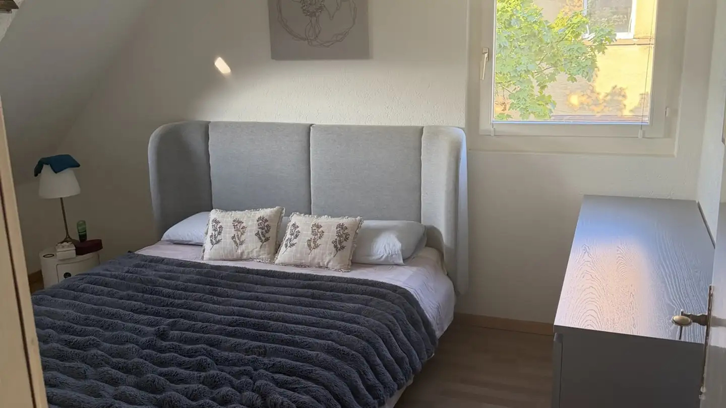 Appartement meublé à louer - Bucheggstrasse 162, 8057 Zürich