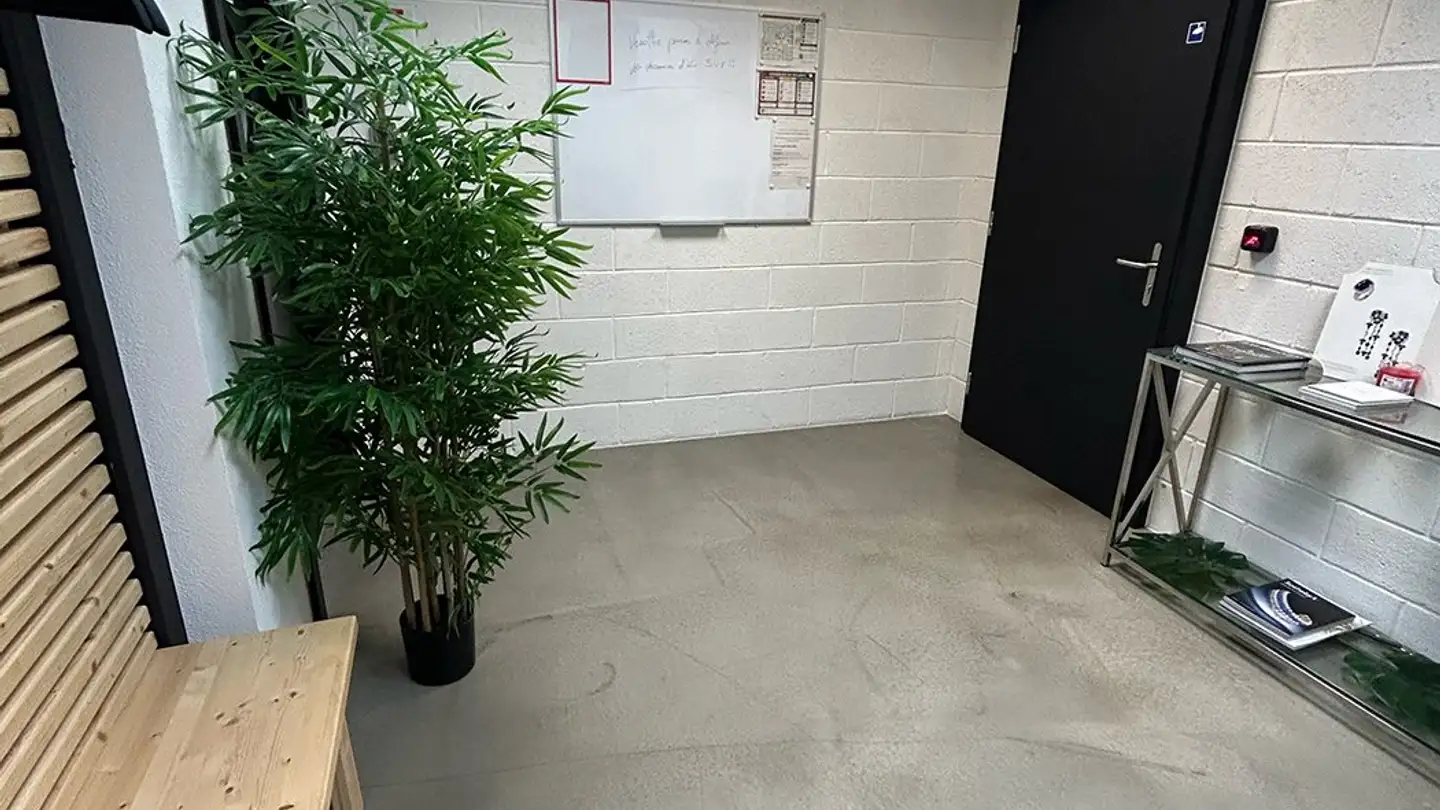 Spazio ufficio in affitto - Chemin Des Aulx 18, 1228 Plan-les-Ouates - Foto 4