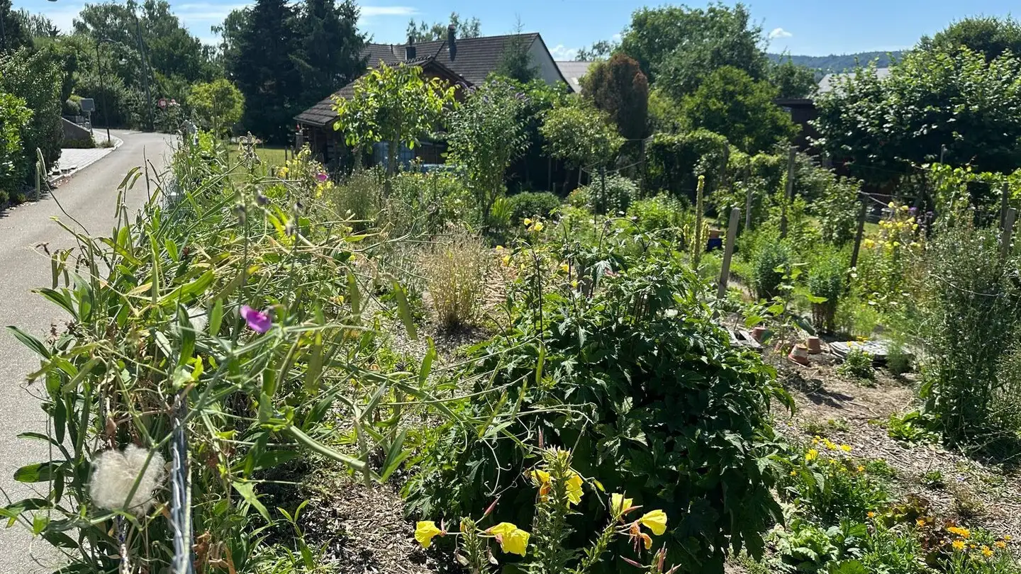 Maison individuelle à vendre - Hofackerweg, 8194 Hüntwangen