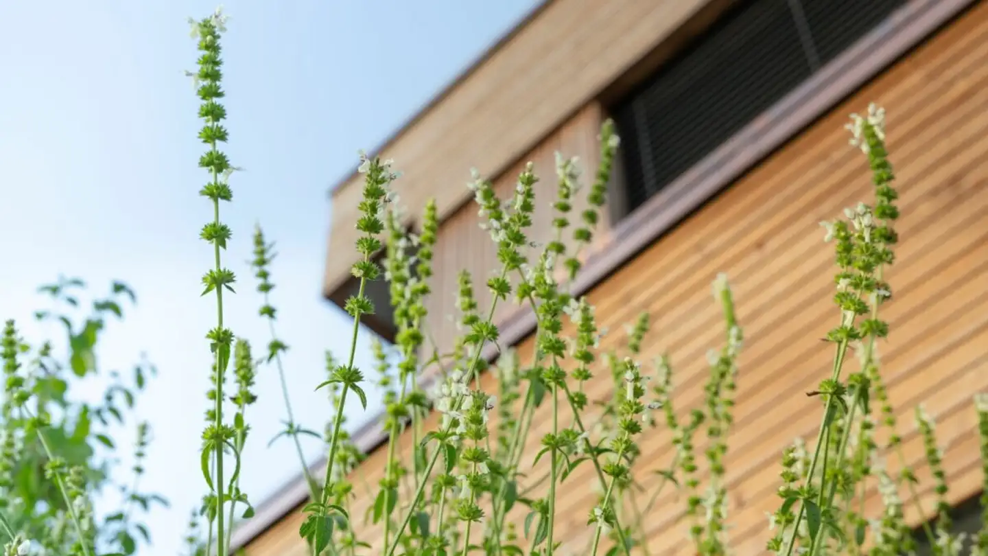 Apartment for sale - Flüestrasse 34, 5313 Klingnau - Photo 4