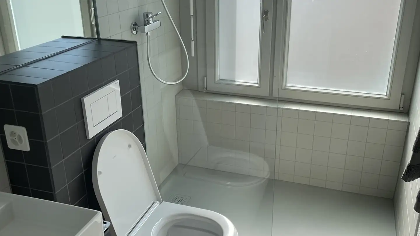 Wohnung mieten - Limmattalstrasse 262, 8049 Zürich - Foto 3