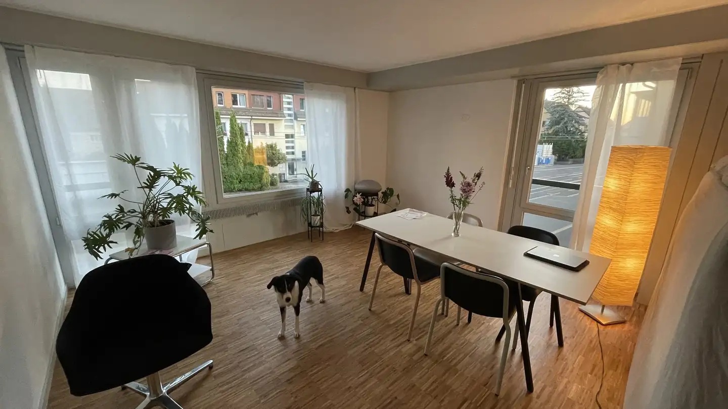 Wohnung mieten - Limmattalstrasse 262, 8049 Zürich - Foto 4