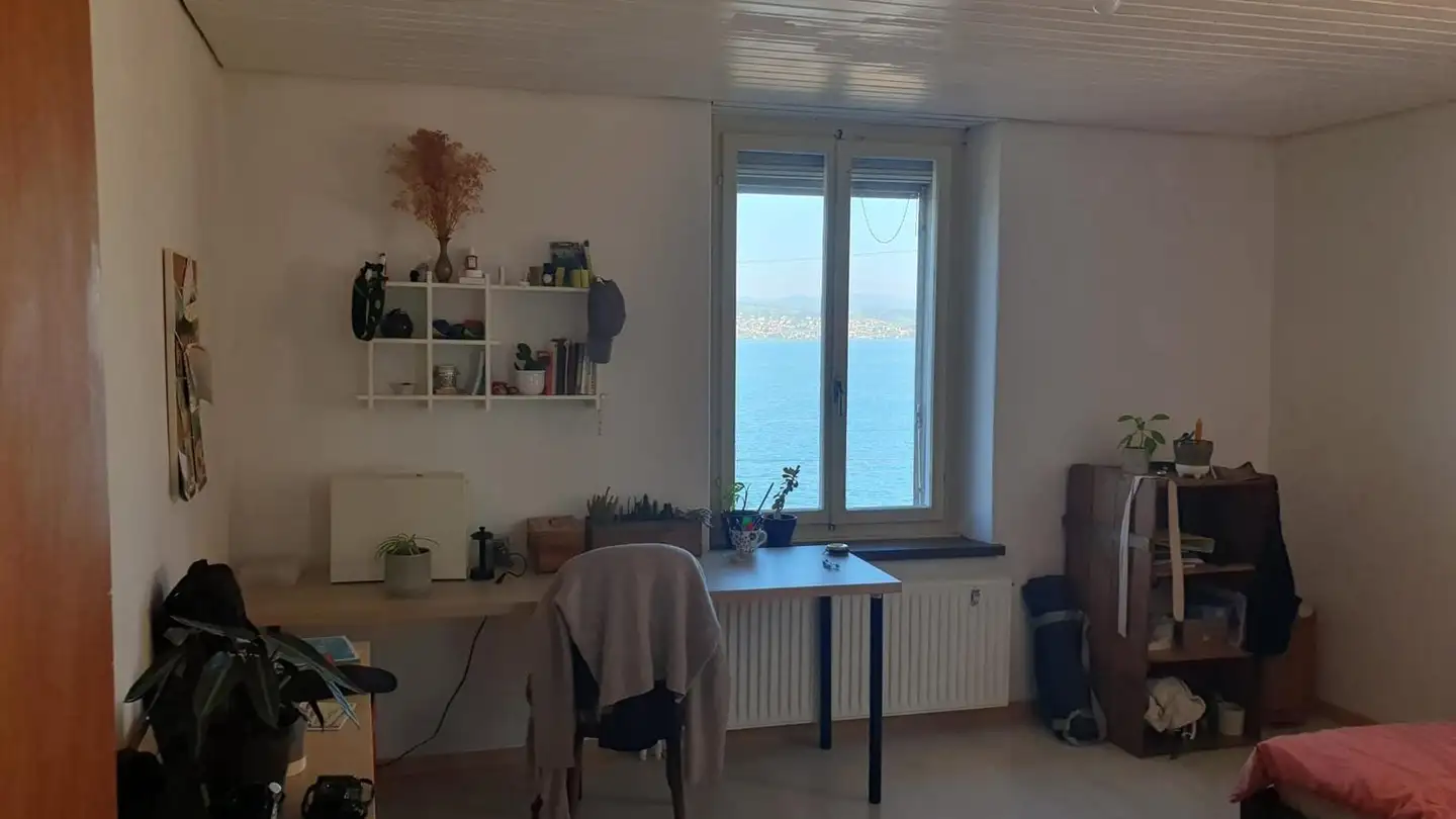 Chambre à louer - Seestrasse 65, 8820 Wädenswil