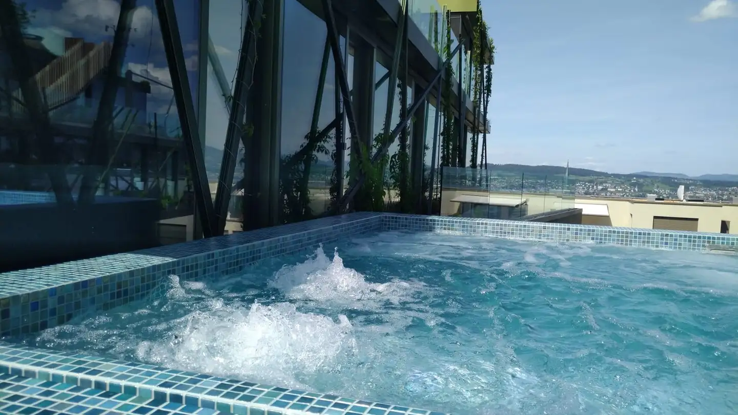 Appartement en terrasse à louer - Im Chrummbächli 12, 8805 Richterswil