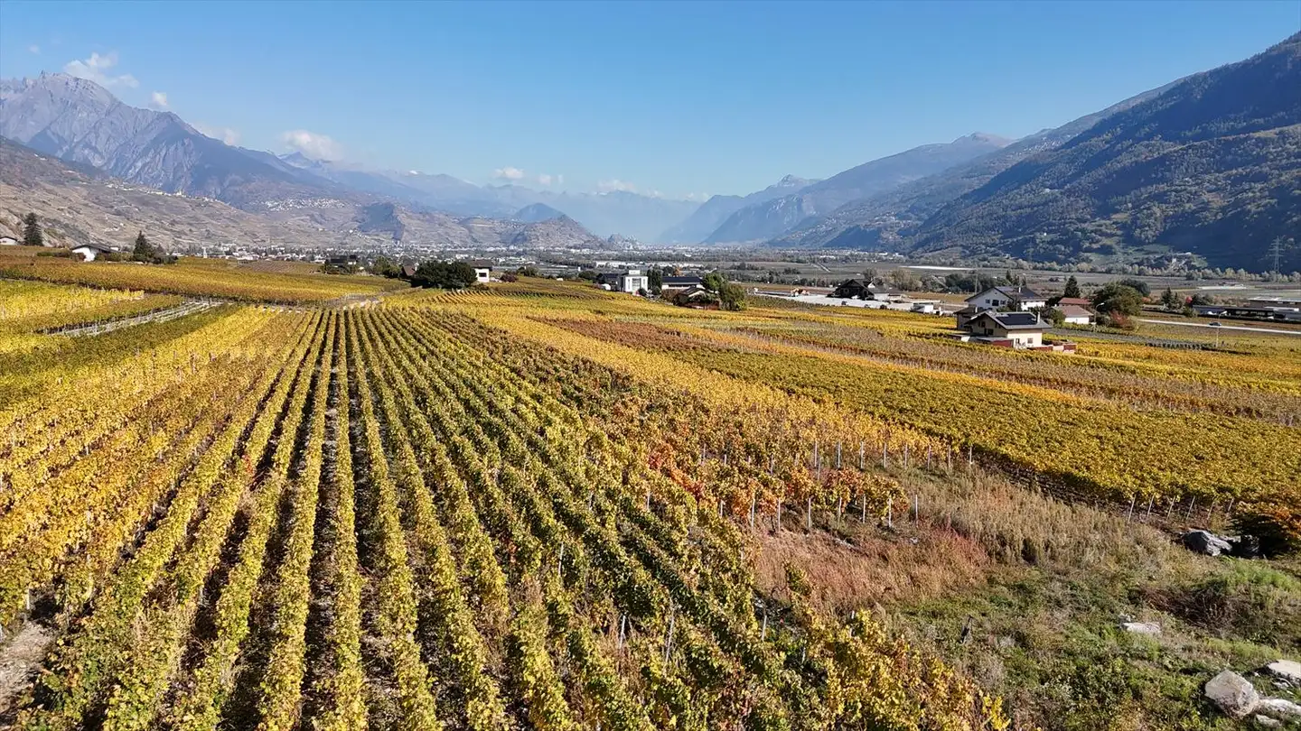 Maison individuelle à vendre - Impasse Dixence 21, 1955 St-Pierre-de-Clages - Photo 3