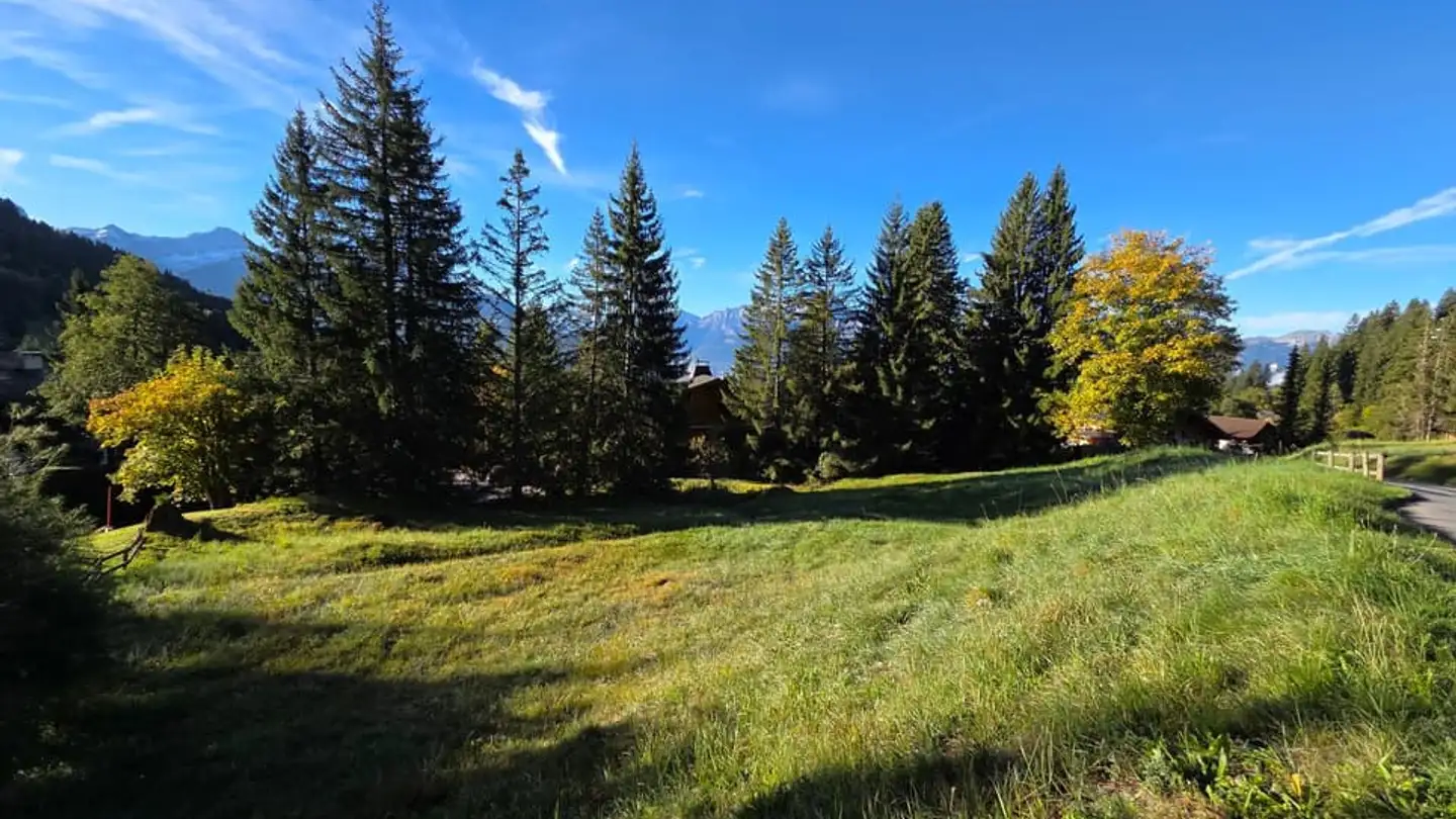 Terreno edificabile in vendita - 1884 Villars-sur-Ollon - Photo 3