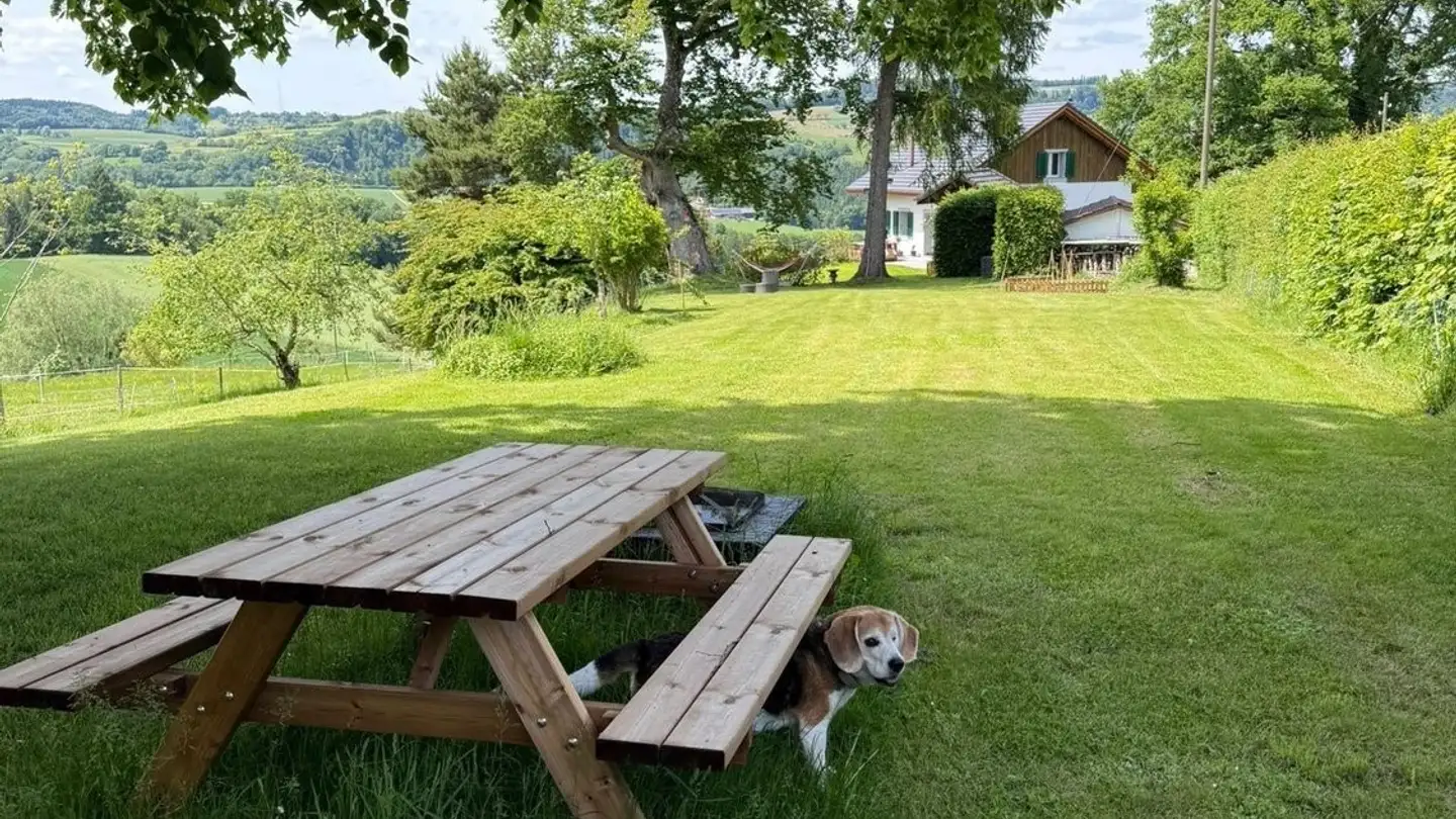 Casa singola in affitto - Chemin De Seppey 5, 1085 Vulliens - Photo 3