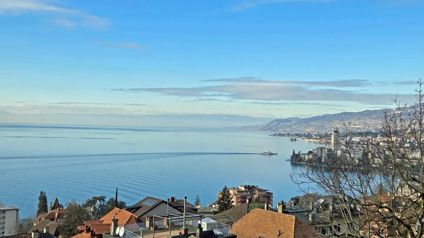 Casa singola in vendita - Chemin De Liboson 7, 1820 Veytaux - Foto 2