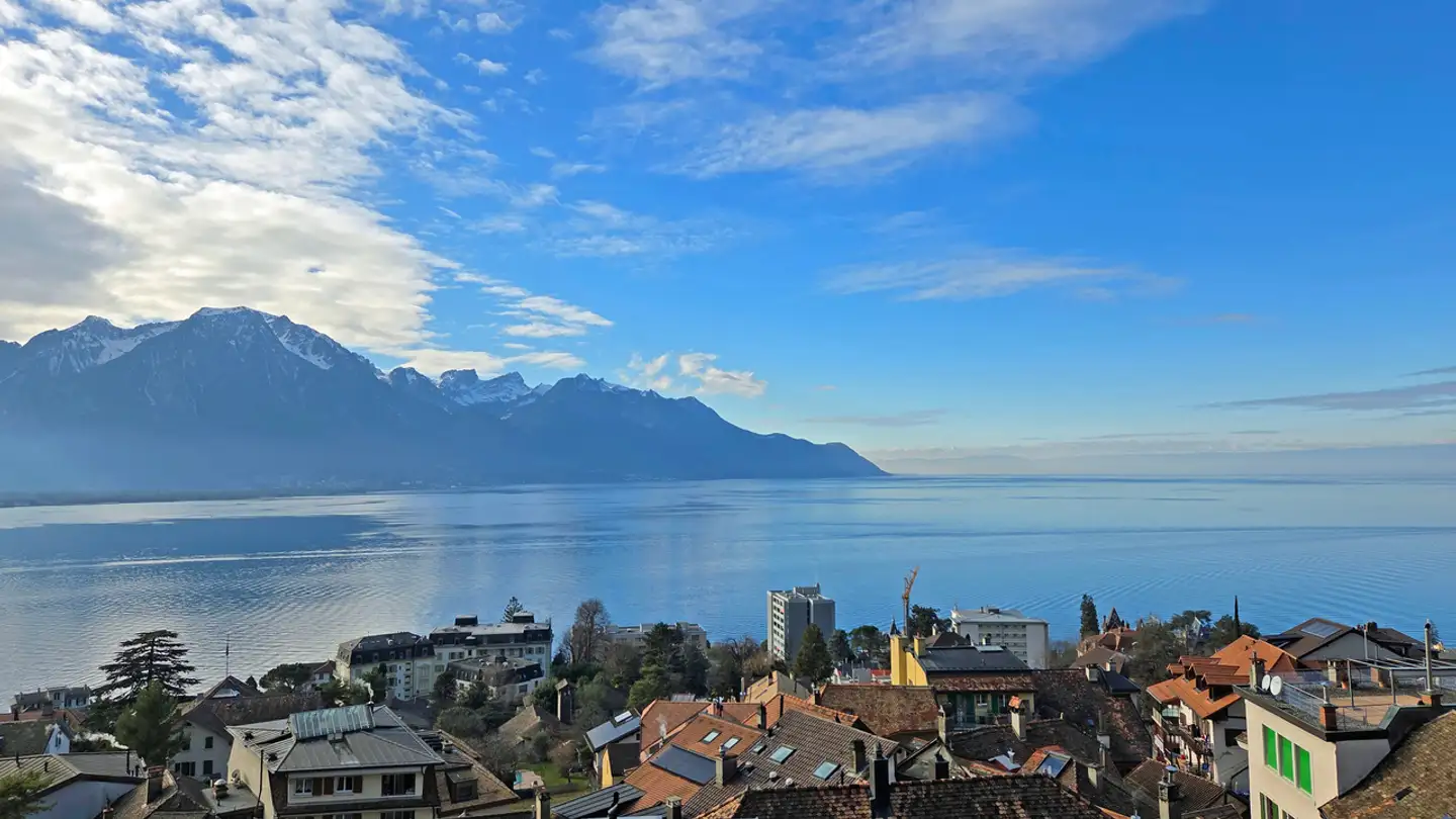 Casa singola in vendita - Chemin De Liboson 7, 1820 Veytaux - Foto 3