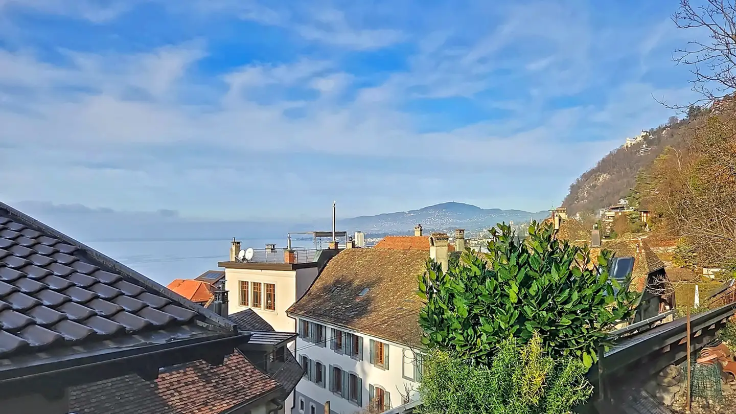 Casa singola in vendita - Chemin De Liboson 7, 1820 Veytaux - Foto 4