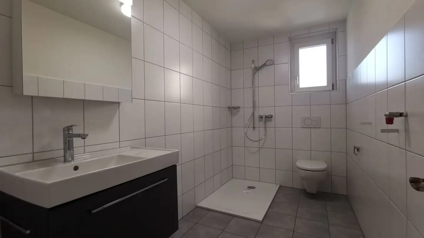 Grand magasin à vendre - Dorfstrasse 6, 5040 Schöftland - Photo 3