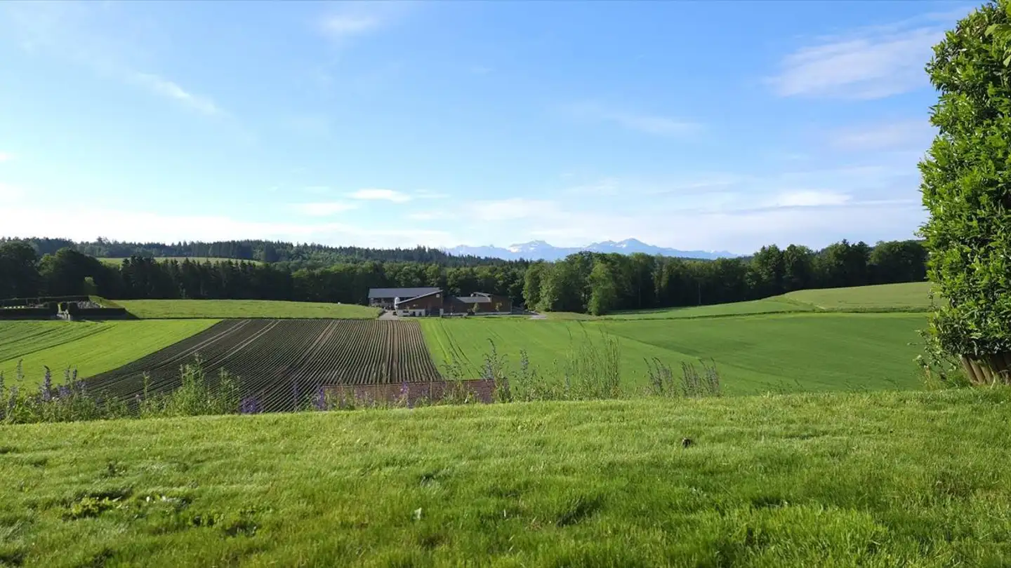 Appartamento in vendita - 1055 Froideville - Photo 2