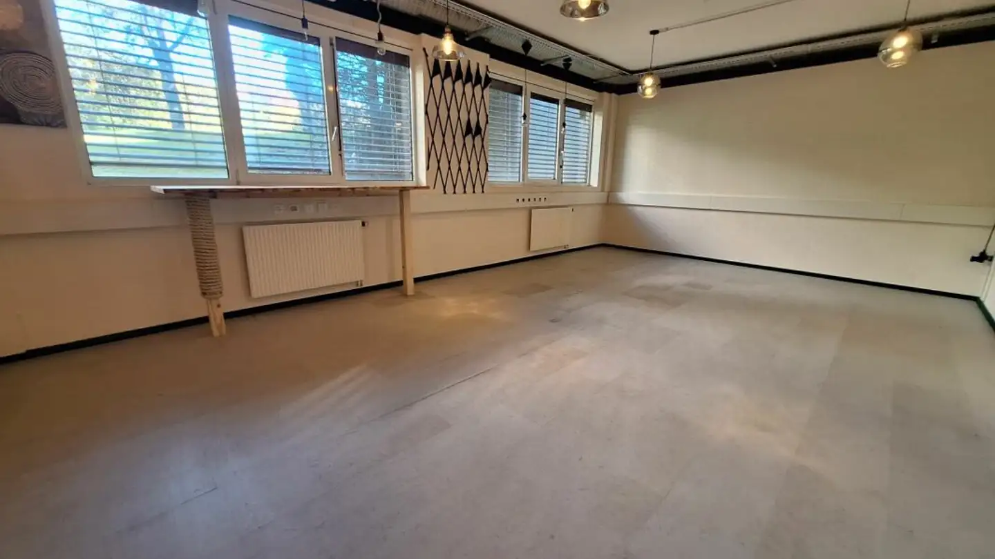 Gewerbe mieten - Avenue Des Boveresses 42, 1010 Lausanne - Foto 3