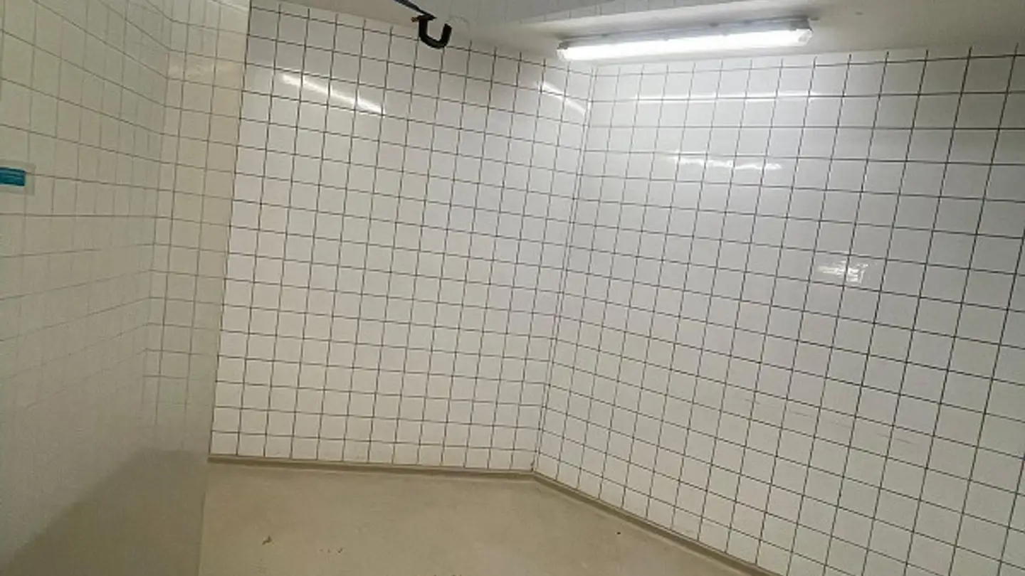 Gewerbe mieten - Hohlenbaumstrasse 71, 8200 Schaffhausen - Foto 3