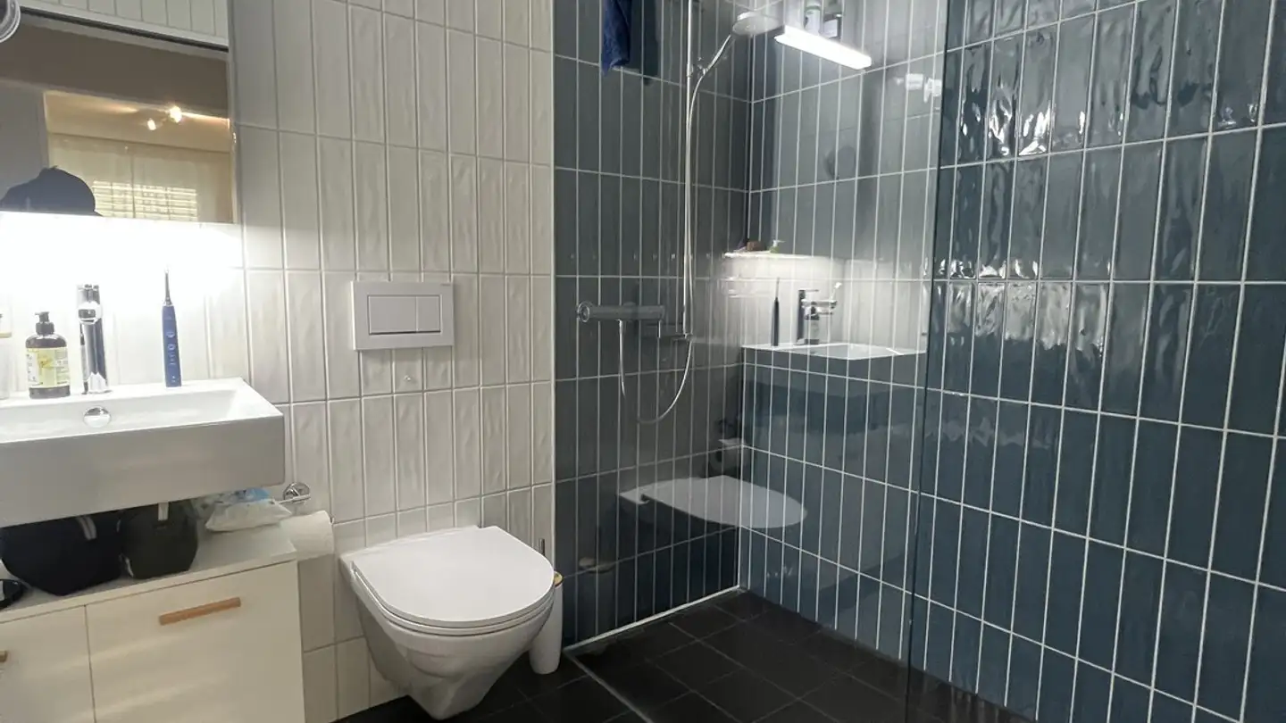 Möblierte Wohnung mieten - Im Oberen Boden 17, 8049 Zürich - Foto 4