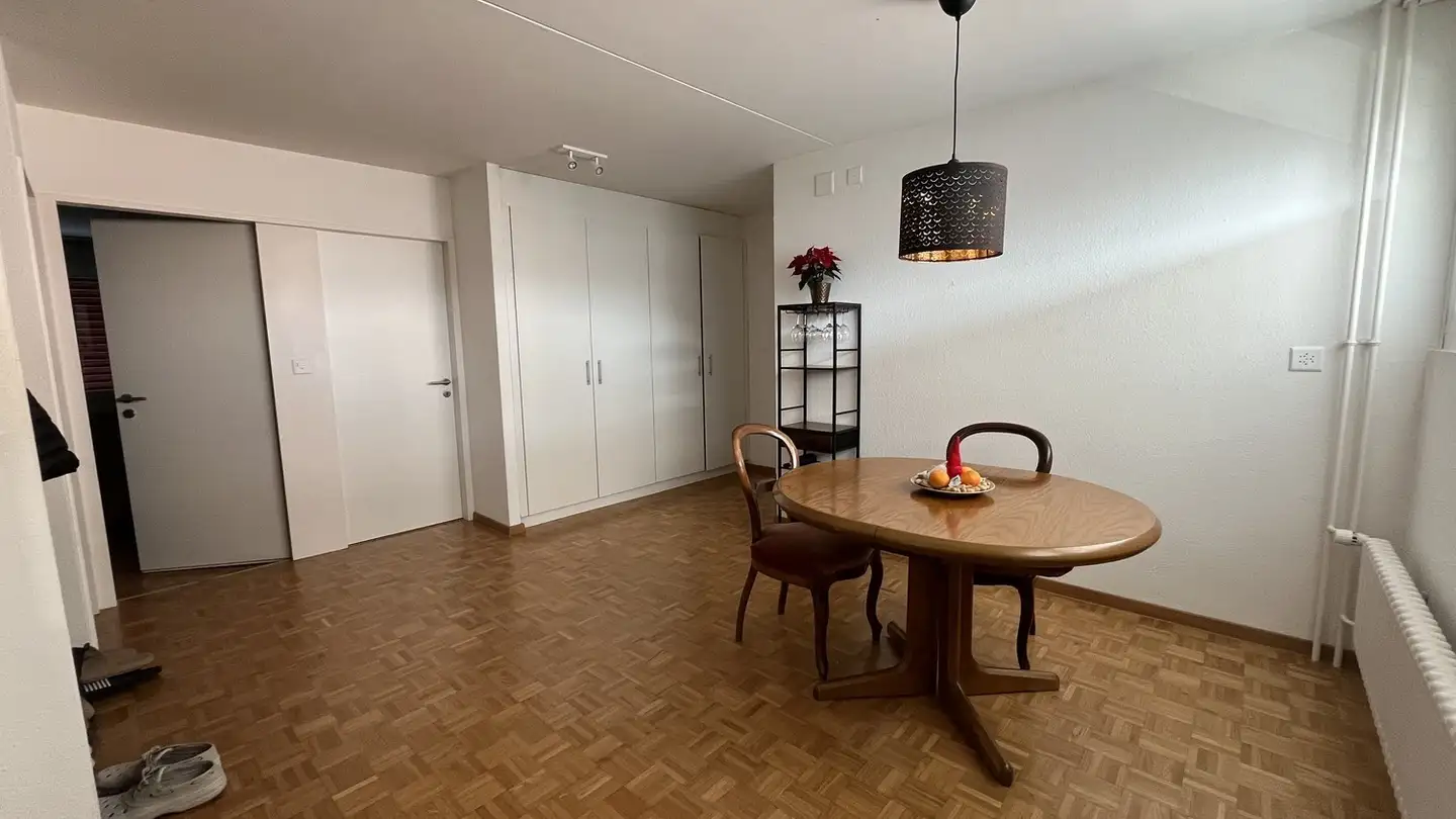 Appartamento in affitto - 8046 Zürich