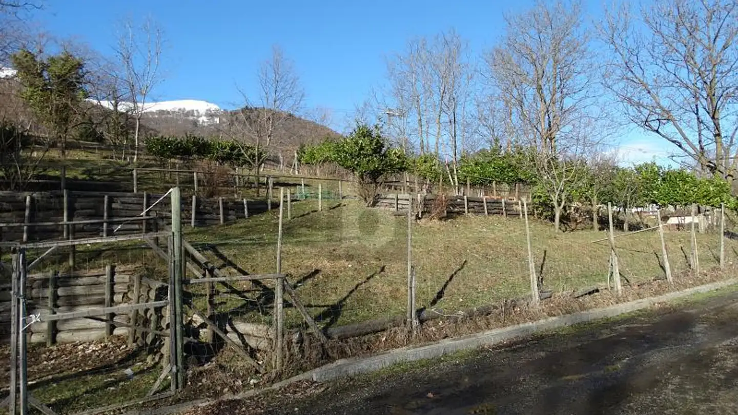 Bauernhof kaufen - 6986 Miglieglia