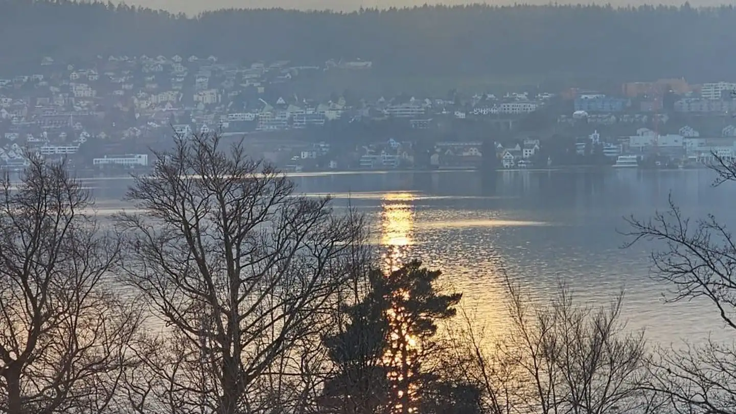 Attic flat for rent - Zollerstrasse 16, 8703 Erlenbach ZH