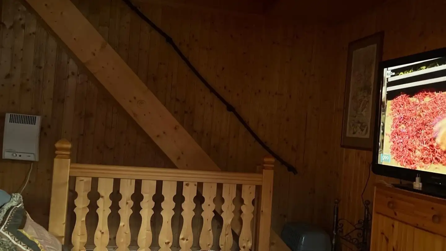 Maison individuelle à louer - Pian San Giacomo, 6563 Mesocco - Photo 4