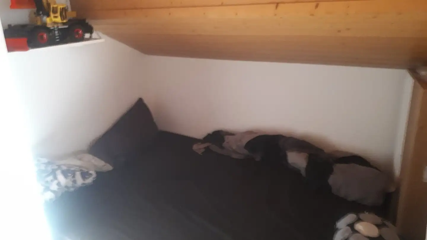 Appartamento in affitto - Schwalbenstrasse 12, 8374 Dussnang - Foto 2