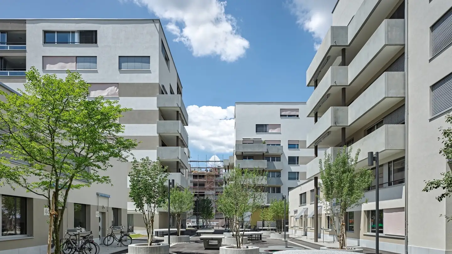 Chambre à louer - Heerenschürlistrasse, 8051 Zürich