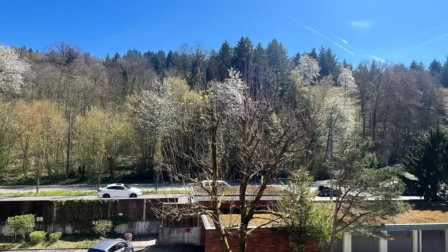Wohnung kaufen - Mellingerstrasse 174, 5400 Baden