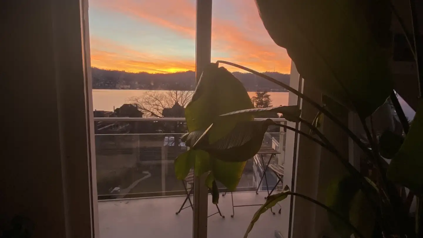 Appartamento in affitto - Brandisstrasse 32, 8702 Zollikon - Foto 2