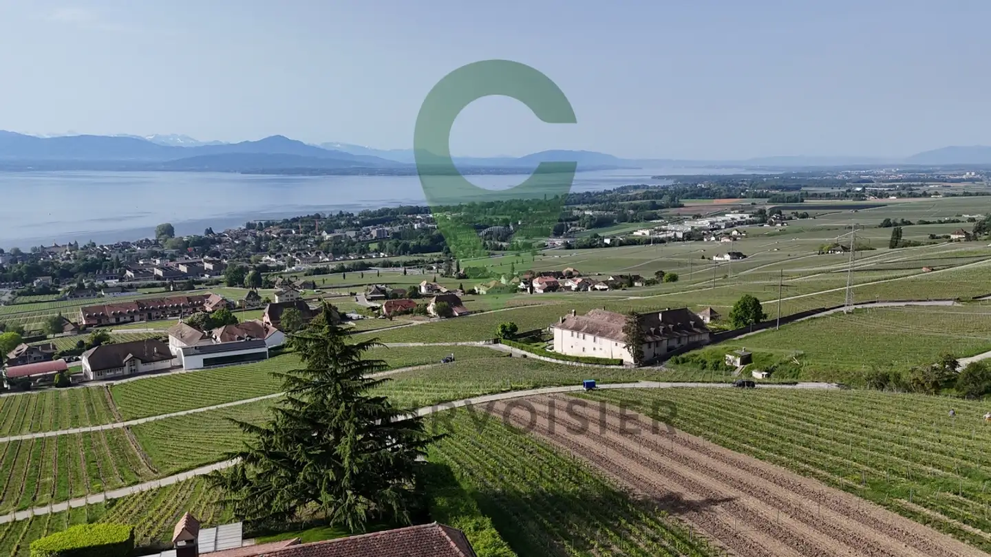 Appartement à vendre - Chemin Des Romaises, 1185 Mont-sur-Rolle