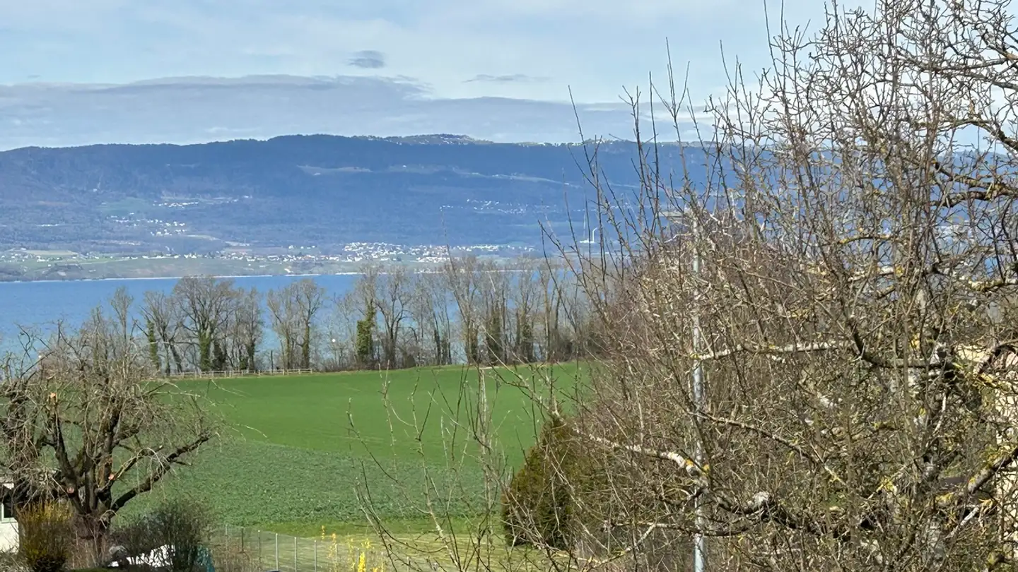 Appartement à vendre - Route De La Condémine, 1475 Forel FR - Photo 4