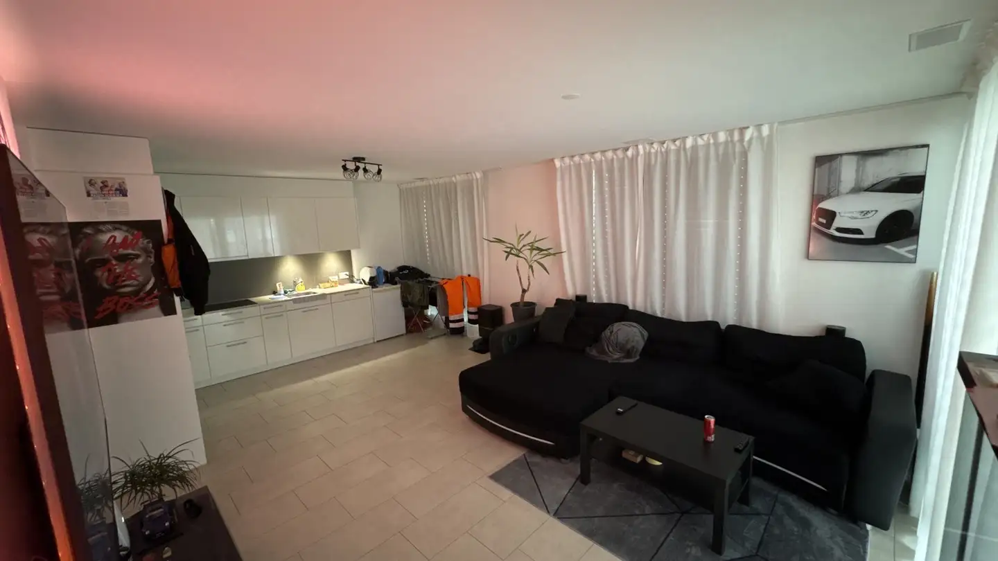 Apartment for rent - 5014 Gretzenbach - Photo 2