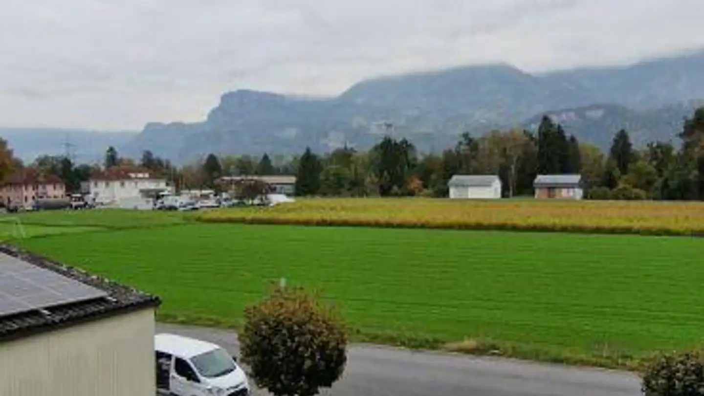 Laboratorio in affitto - Werkstrasse 10, 9444 Diepoldsau - Photo 3