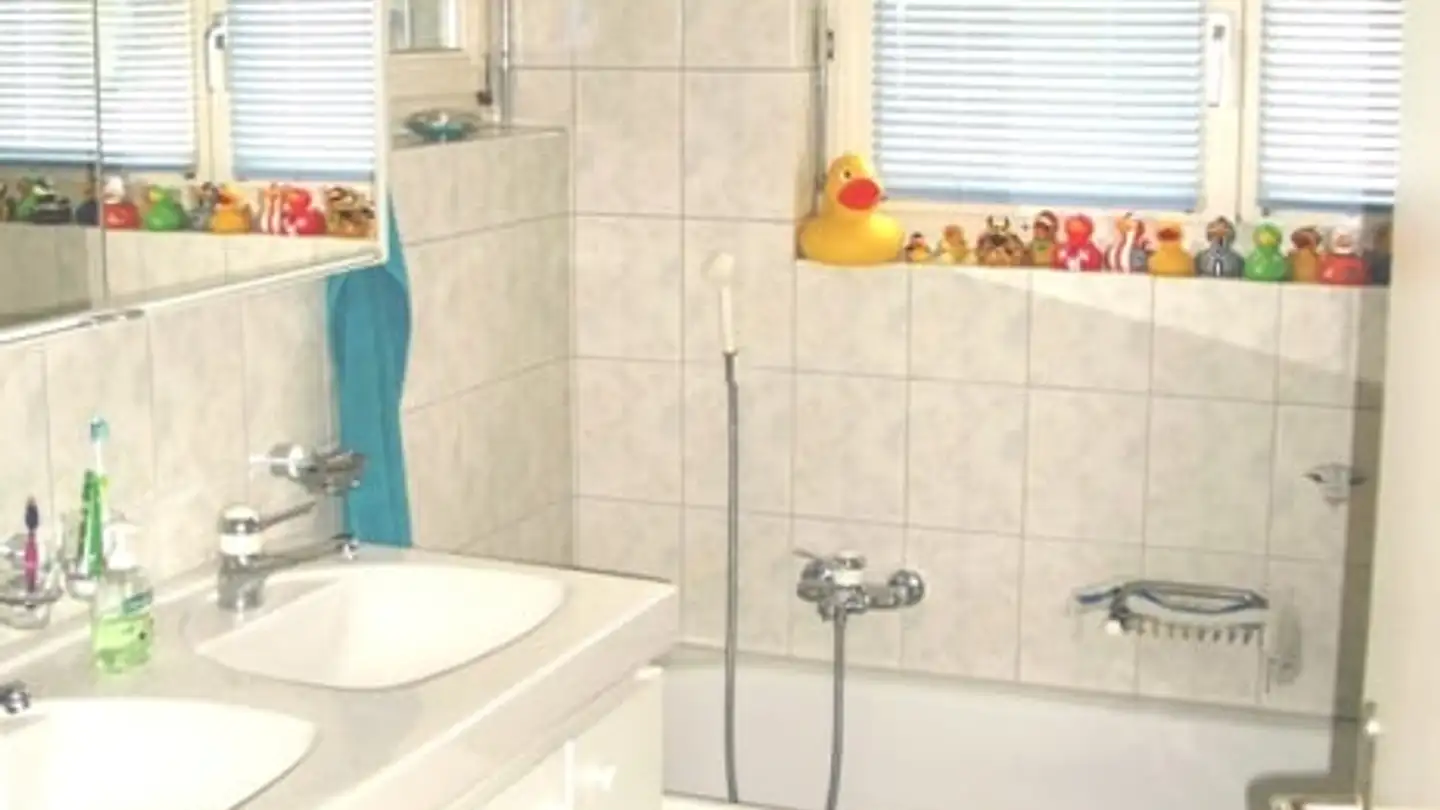 Appartamento in affitto - Haldenstrasse 5, 8320 Fehraltorf - Foto 4
