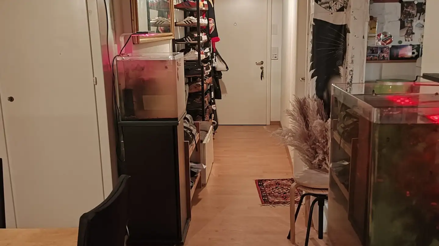 Appartement à louer - Fellenbergstrasse 166, 8047 Zürich - Photo 2