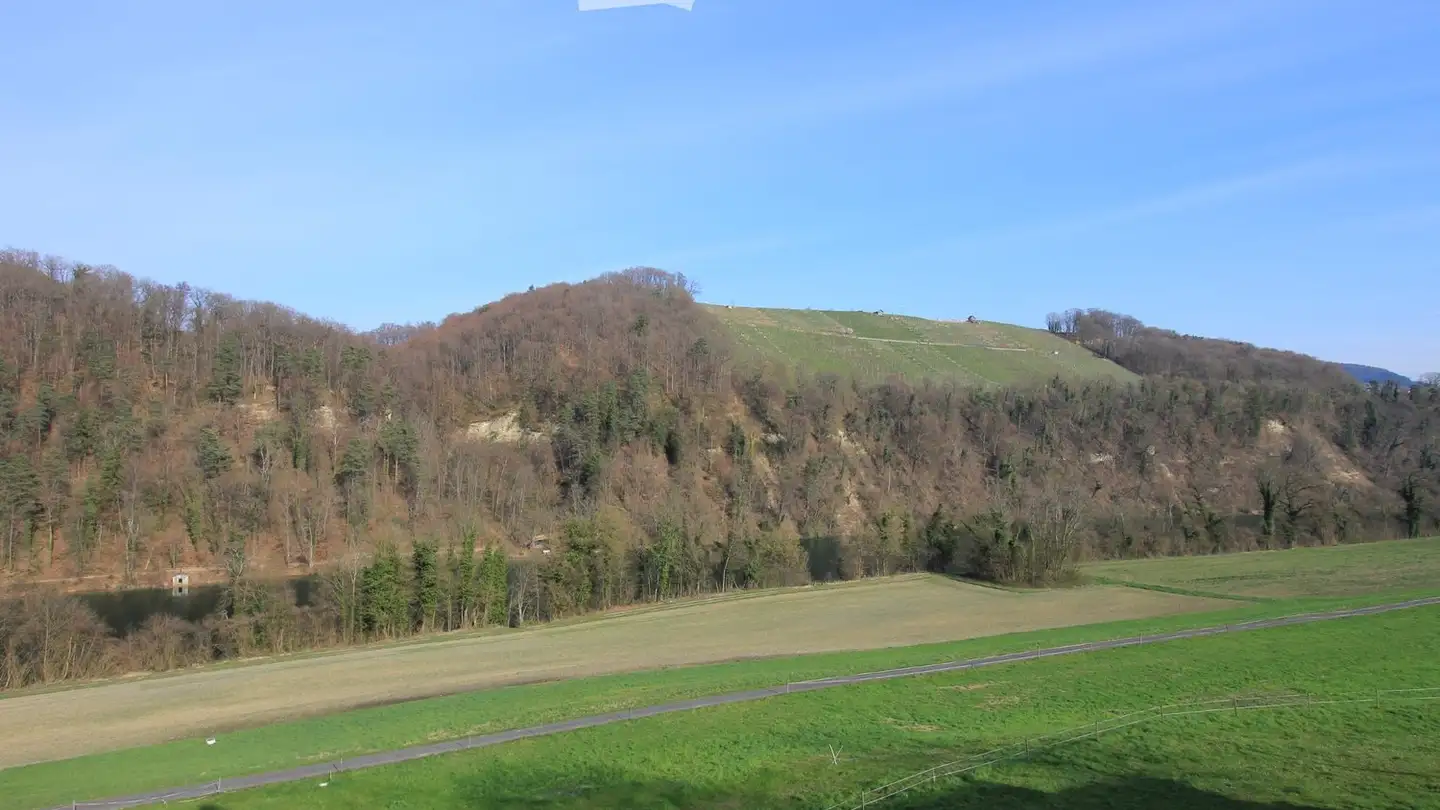 Appartement à vendre - Tössriederenstrasse 81, 8193 Eglisau