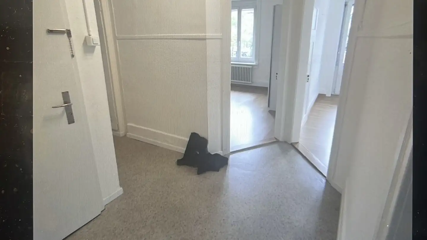 Appartement à louer - Regensbergstrasse 320, 8050 Zürich - Photo 3