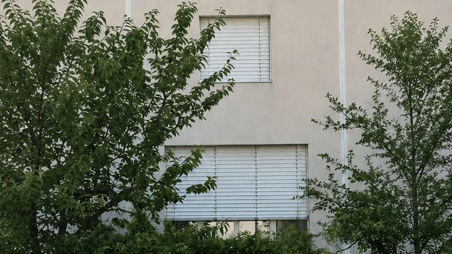 Maison en terrasse à louer - Narzissenweg 11b, 4123 Allschwil