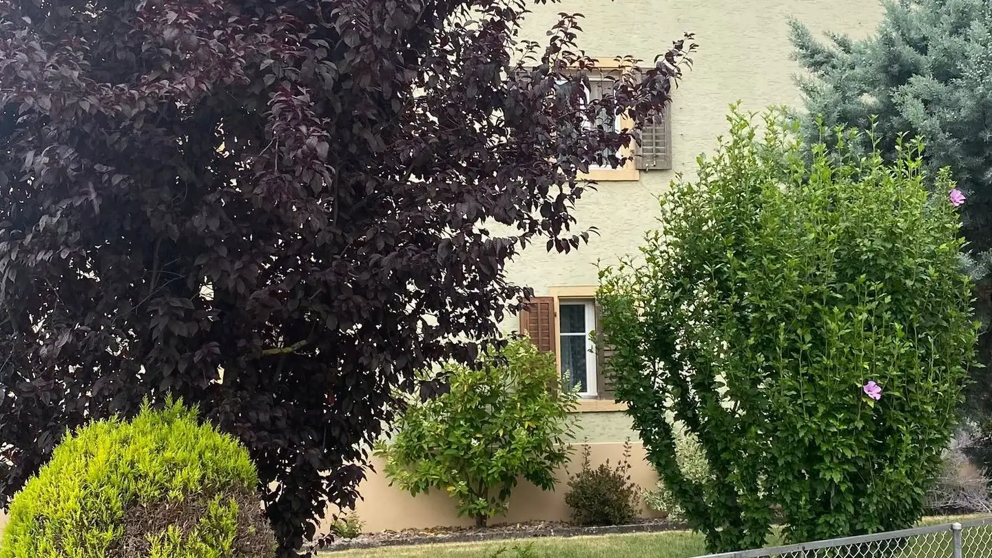 Edificio residenziale in vendita - Hauptstrasse 39, 5027 Herznach - Photo 2