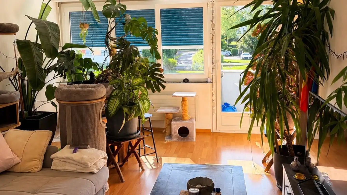 Appartamento in affitto - Rue De La Léchère 23, 1630 Bulle - Foto 3