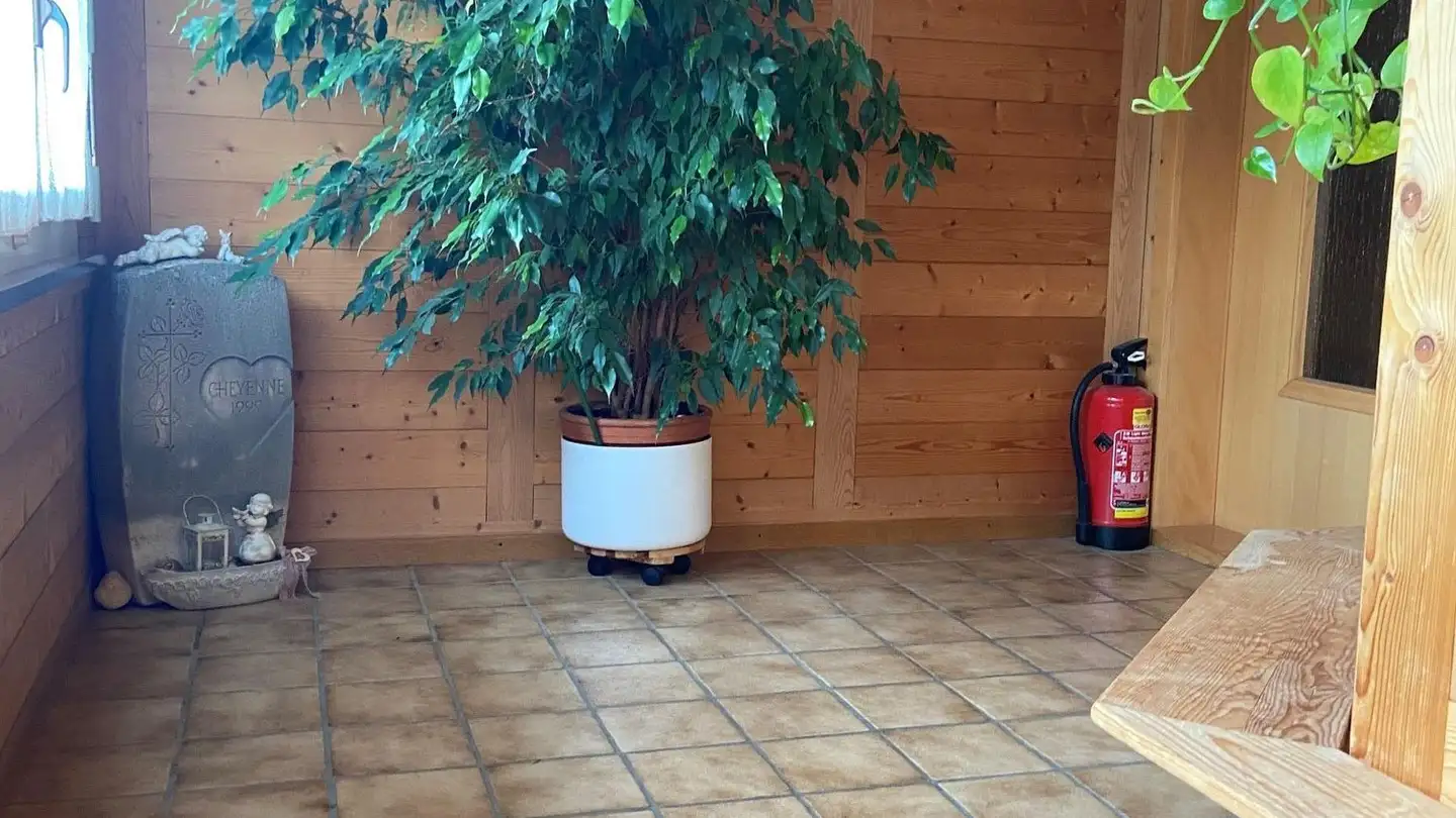 Appartamento in affitto - Dornistrasse 9, 3512 Walkringen - Foto 2