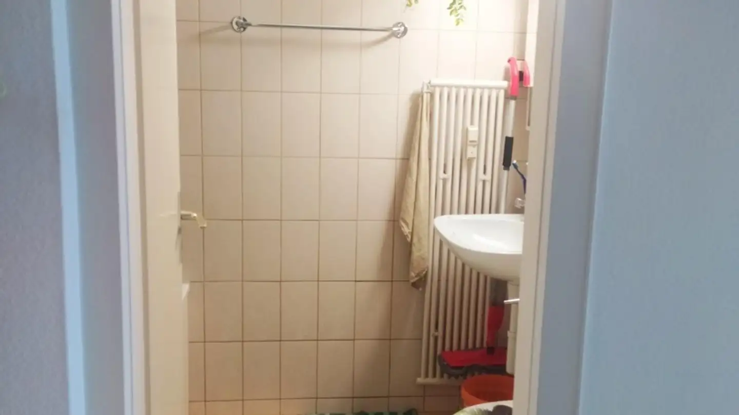 Appartamento in affitto - Dürrenmattweg 84, 4123 Allschwil - Foto 3