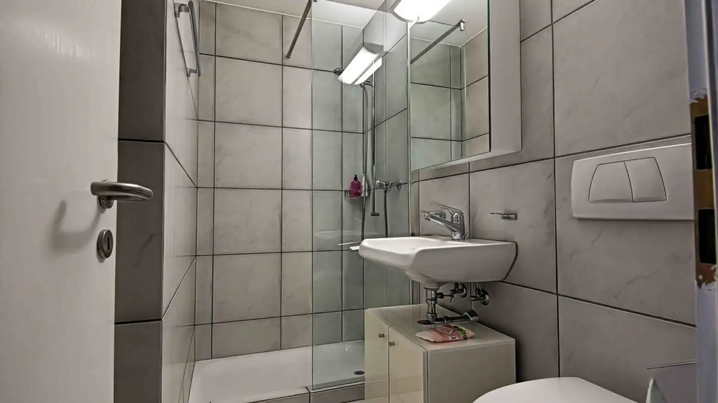 Appartamento ammobiliato in affitto - 8125 Zollikerberg - Foto 4