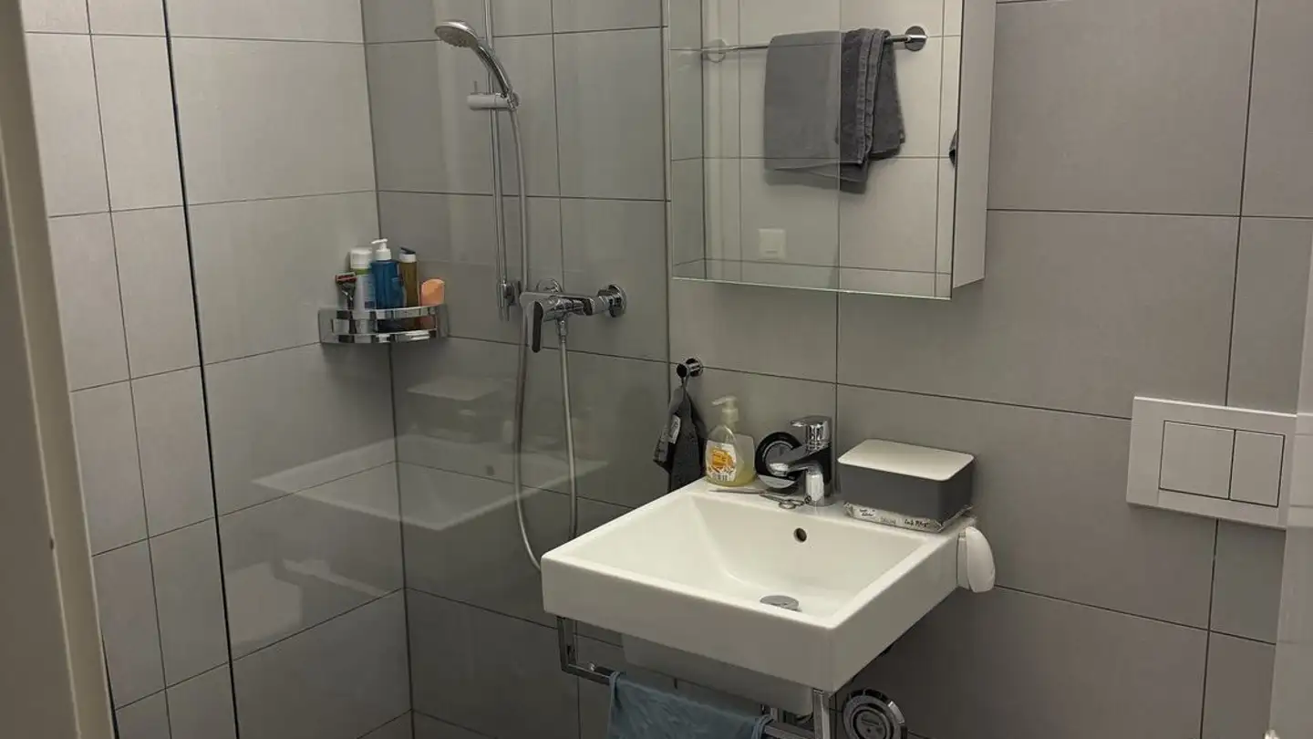 Wohnung mieten - Zürichstrasse 20, 8600 Dübendorf - Foto 4