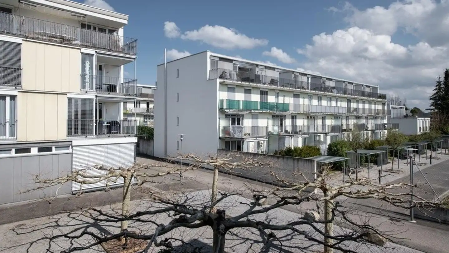 Wohnung mieten - Alpenstrasse 133, 3052 Zollikofen