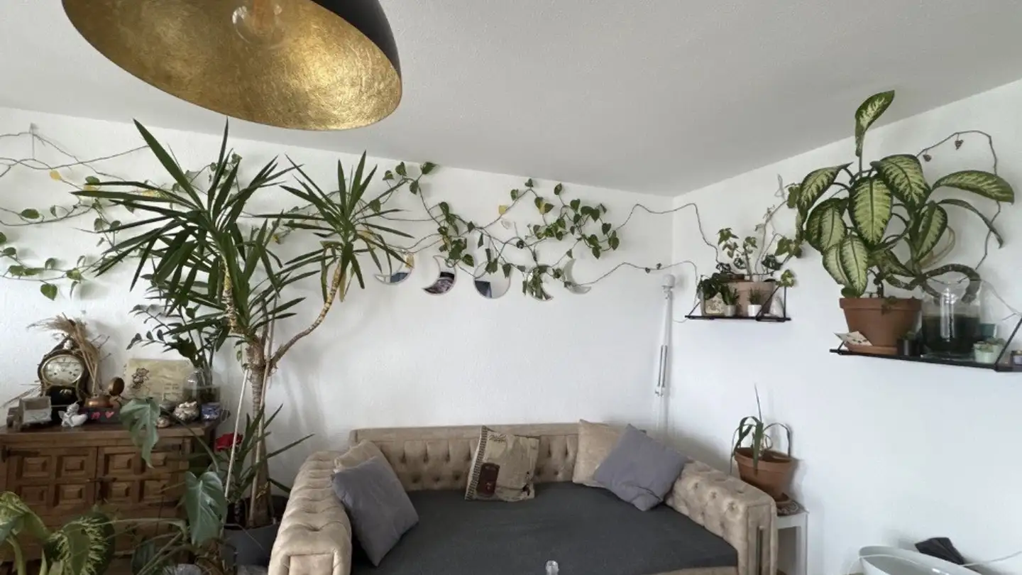 Appartamento in affitto - 8620 Wetzikon ZH - Foto 4