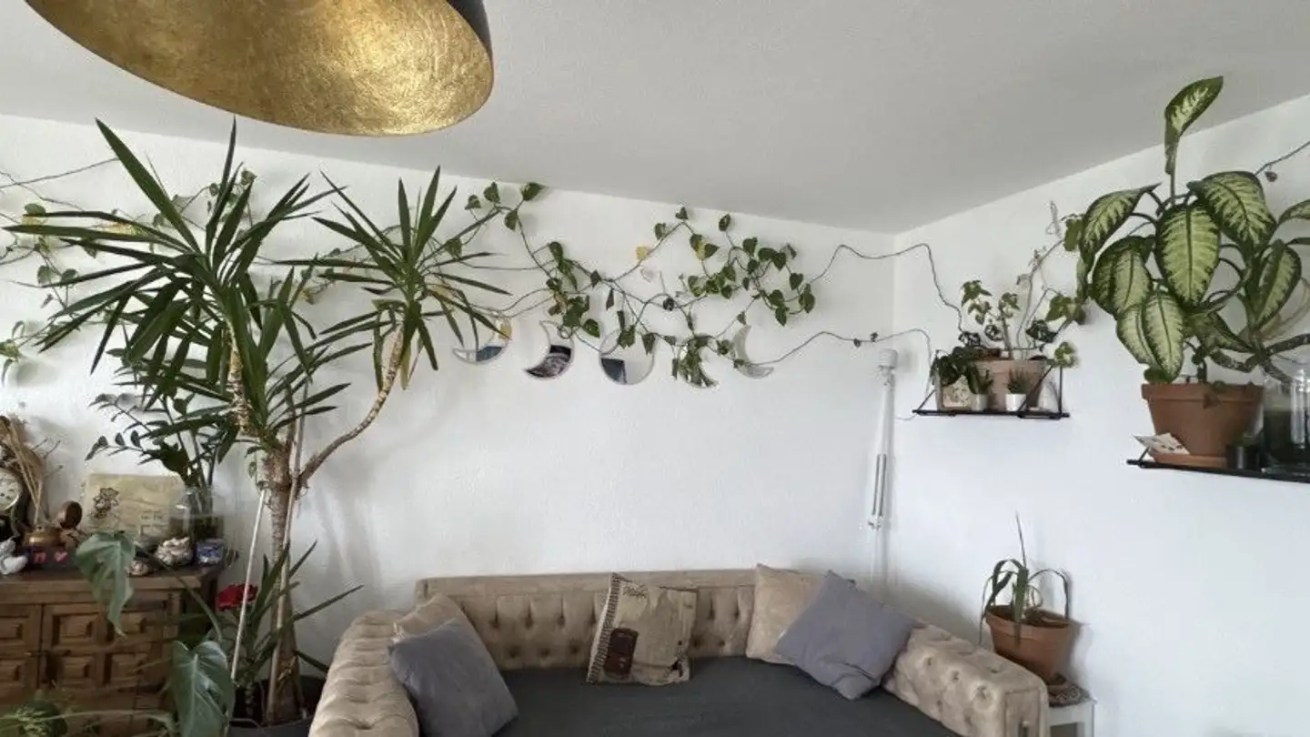 Appartamento in affitto - 8620 Wetzikon ZH - Foto 4