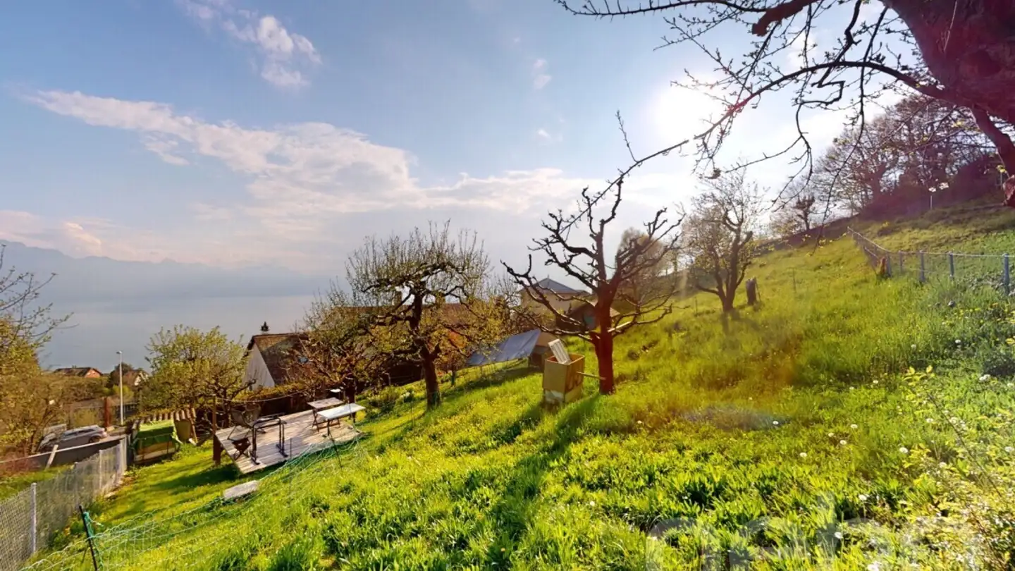 Constructible plot for sale - 1091 Grandvaux - Photo 3