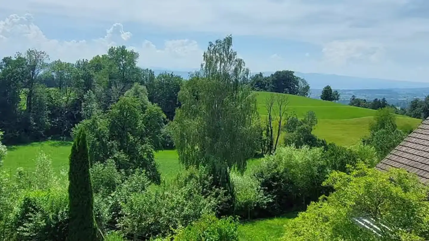 Casa singola in affitto - Spilchbüel 24, 8342 Wernetshausen - Foto 2