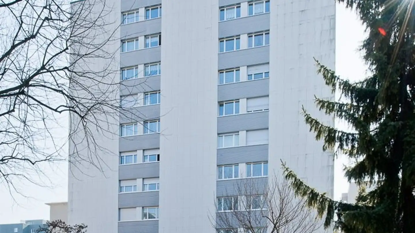 Appartamento in affitto - Lindenstrasse 33, 4102 Binningen - Foto 2